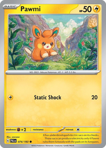 Pooka App Mockup