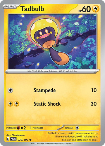 Pooka App Mockup