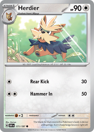 Pooka App Mockup
