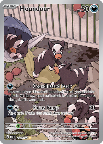 Houndour 204, Obsidian Flames