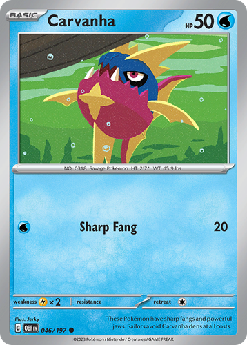 Pooka App Mockup