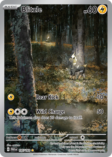Pooka App Mockup