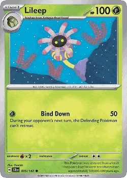 Lileep Pokémon TCG card art