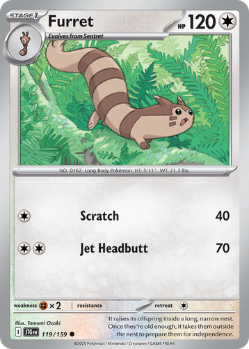 Furret 119, Journey Together
