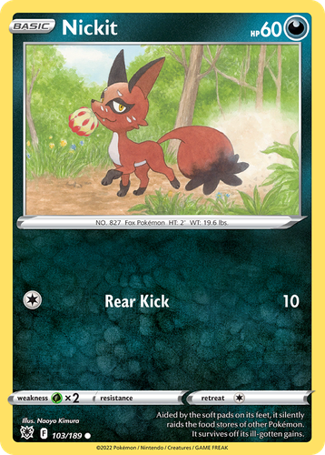 Pooka App Mockup