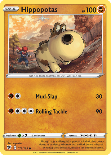 Pooka App Mockup