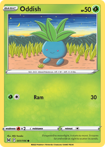 Pooka App Mockup