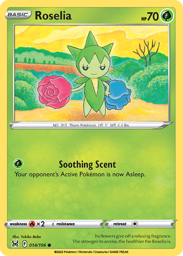 Pooka App Mockup
