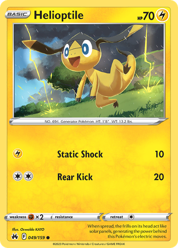 Pooka App Mockup