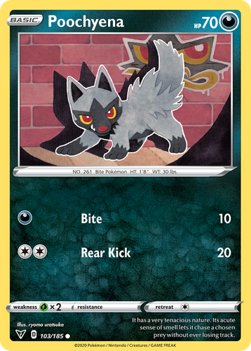 Pooka App Mockup