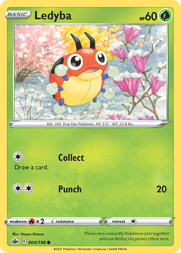 Pooka App Mockup