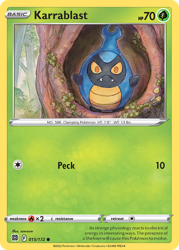 Pooka App Mockup