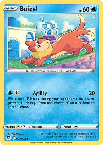 Buizel 38, Brilliant Stars