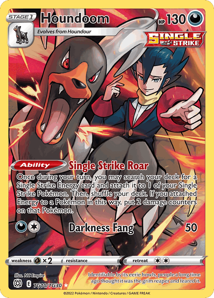 Houndoom #10 from Brilliant Stars Trainer Gallery - Trainer Gallery Rare Holo - Illustrated by NC Empire