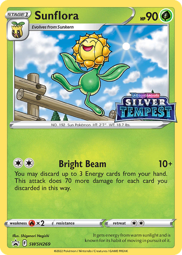 Sunflora 269, SWSH Black Star Promos
