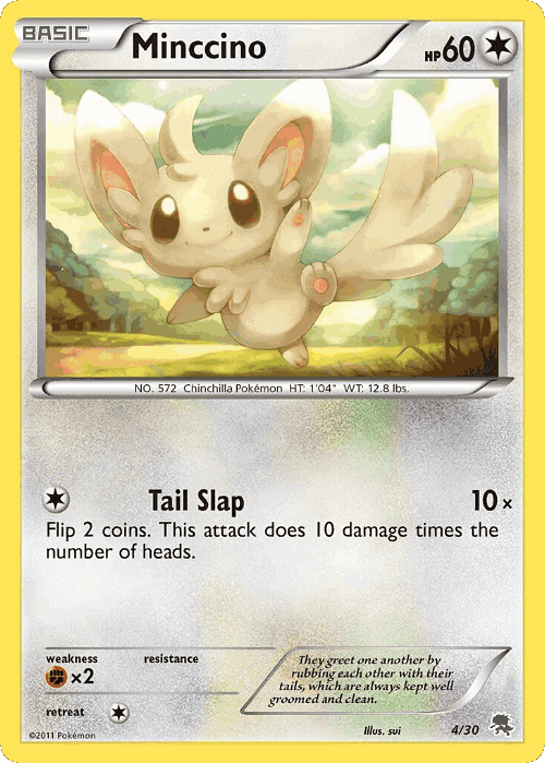 Minccino Pokémon TCG card art