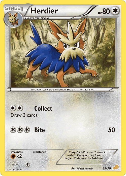 Herdier #19 from BW Trainer Kit Excadrill - Common - Illustrated by Midori Harada