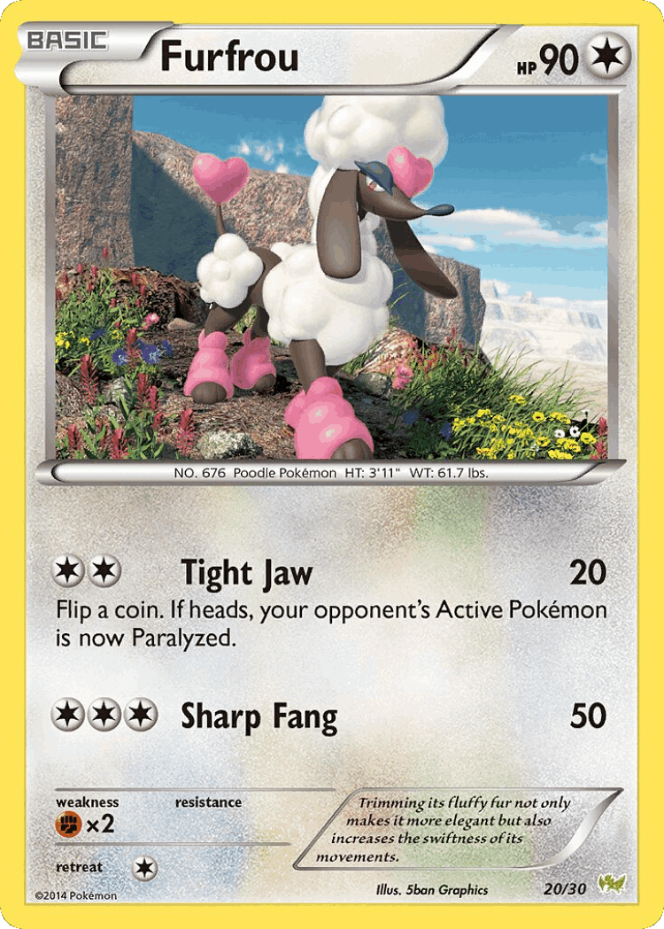 Furfrou #20 from XY Trainer Kit Noivern - Common - Illustrated by 5ban Graphics