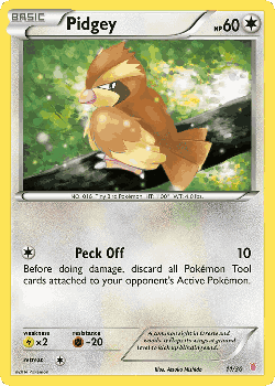 Pidgey Pokémon TCG card art