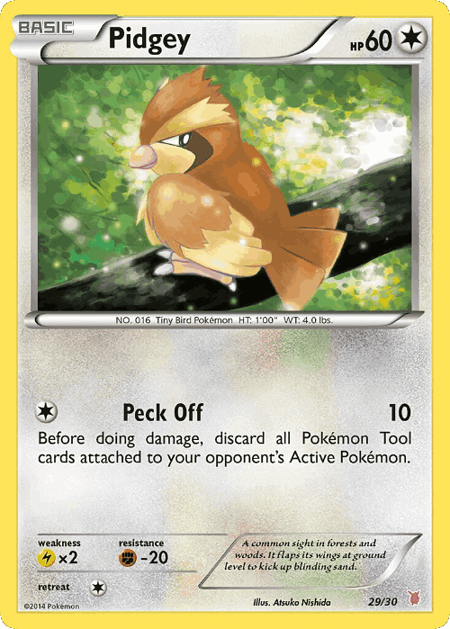 Pidgey 29, XY Trainer Kit Wigglytuff