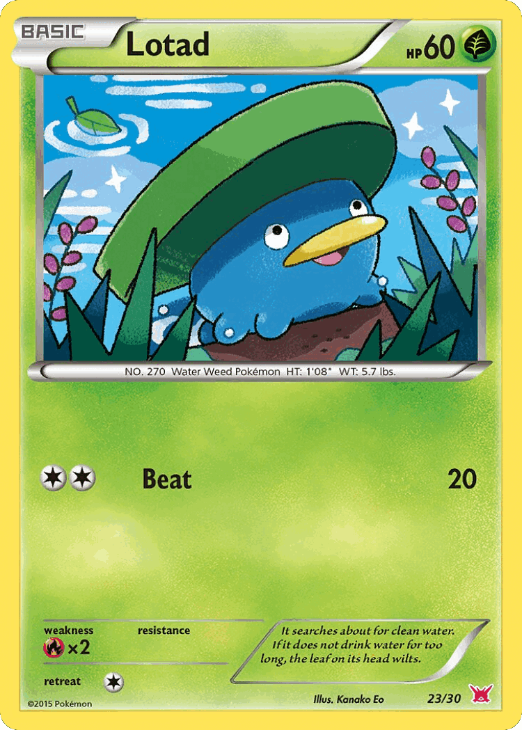 Lotad #23 from XY Trainer Kit Latias - Common - Illustrated by Kanako Eo