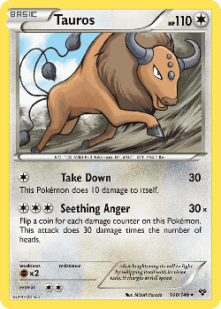 Tauros 100, XY
