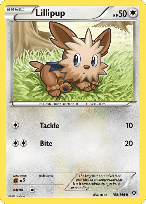 Lillipup 108, XY