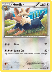 Herdier 109, XY