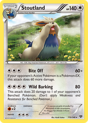 Stoutland 110, XY