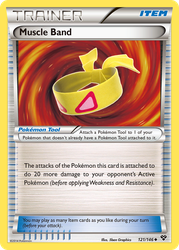 Muscle Band 121, XY