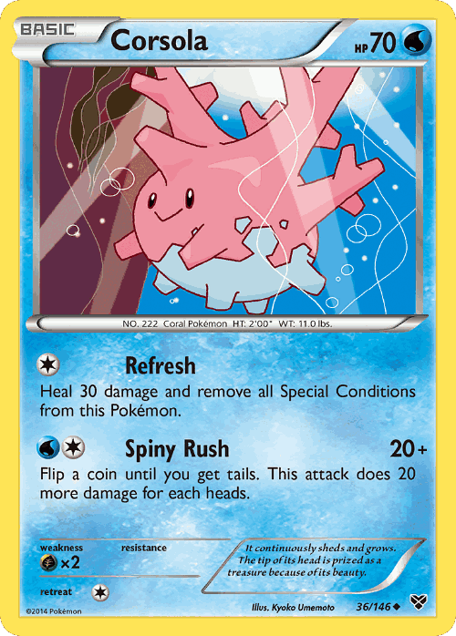 Corsola 36, XY