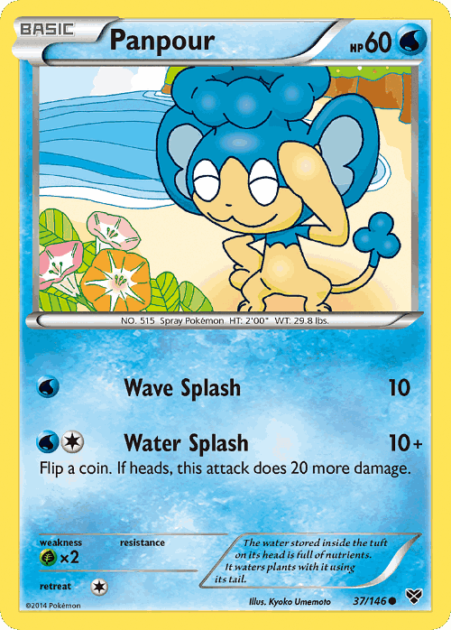 Panpour 37, XY