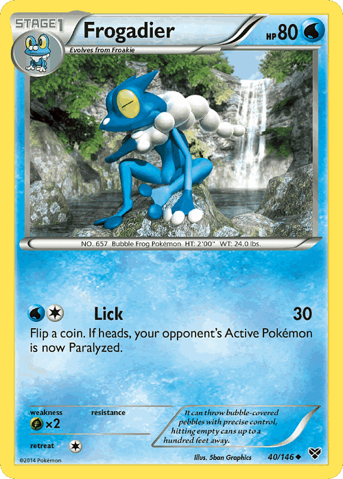 Frogadier 40, XY