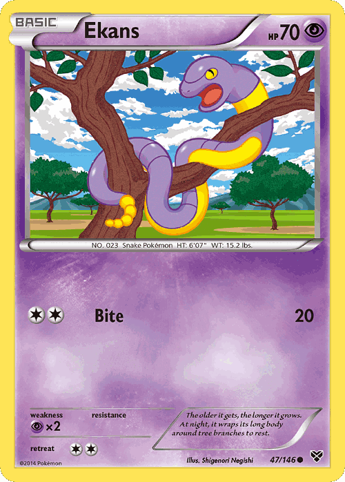 Ekans 47, XY