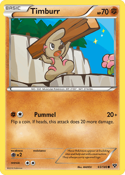 Timburr 65, XY