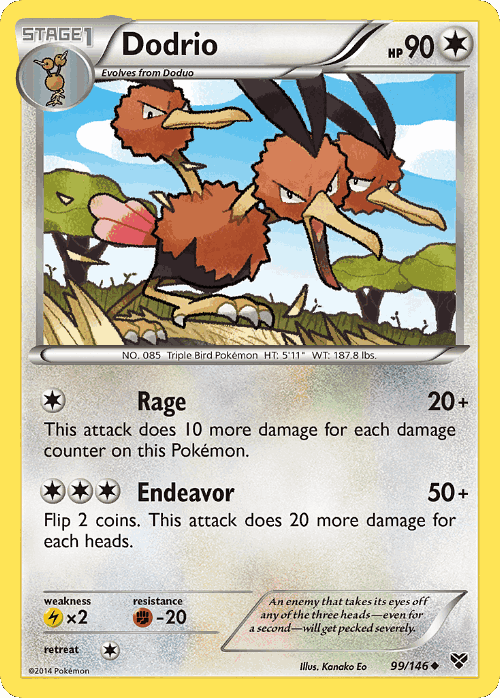 Dodrio 99, XY