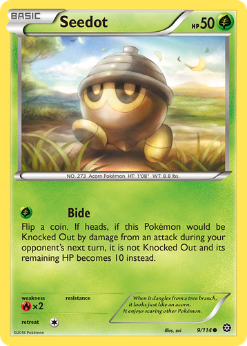 Seedot Pokémon TCG card art