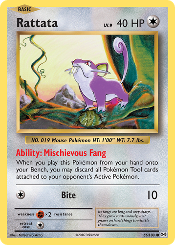 Rattata #66 from Evolutions - Common - Illustrated by Mitsuhiro Arita