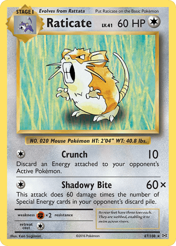 Raticate #67 from Evolutions - Rare - Illustrated by Ken Sugimori