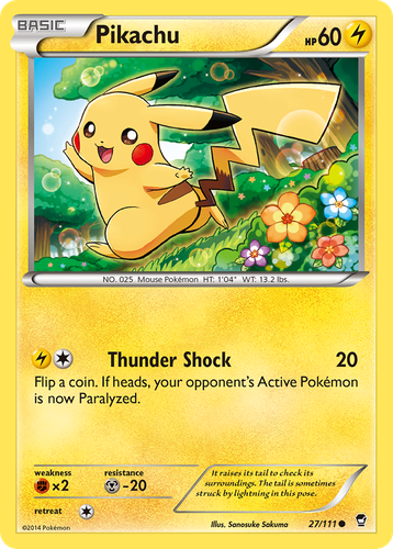 Pikachu 27, Furious Fists
