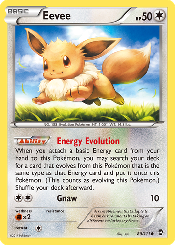 Eevee 80, Furious Fists