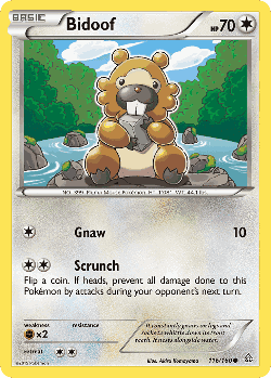 Bidoof 116, Primal Clash