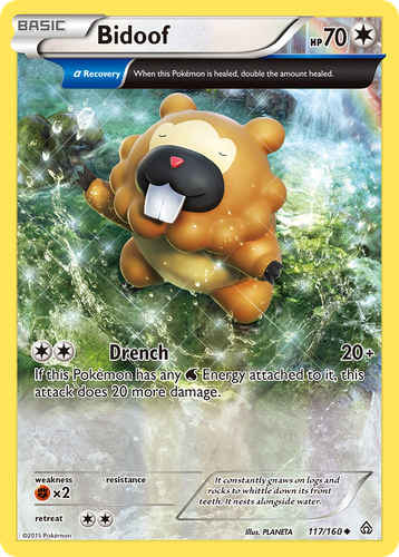 Bidoof #117 from Primal Clash - Uncommon - Illustrated by PLANETA