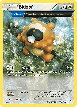 Bidoof 117, Primal Clash