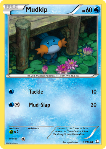 Mudkip 33, Primal Clash