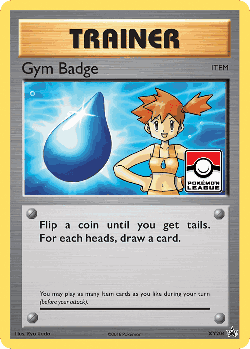 Gym Badge 204, XY Black Star Promos