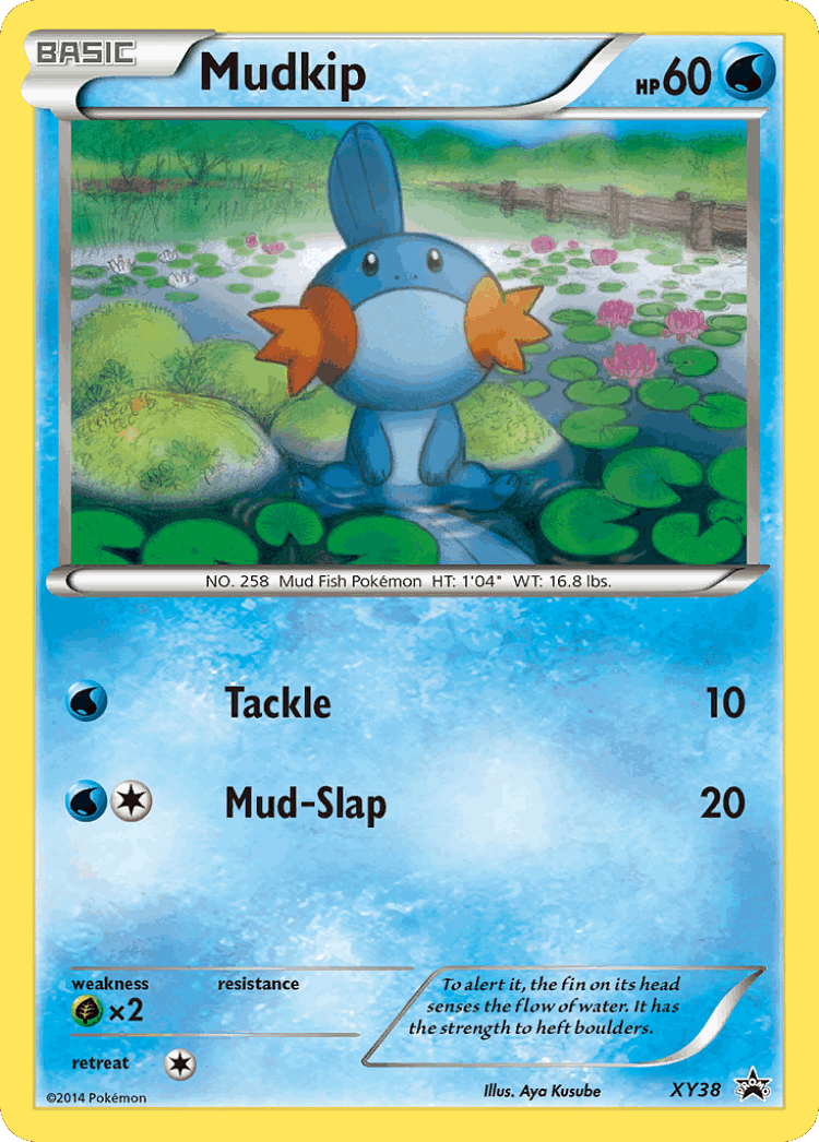 Mudkip #38 from XY Black Star Promos - Promo - Illustrated by Aya Kusube
