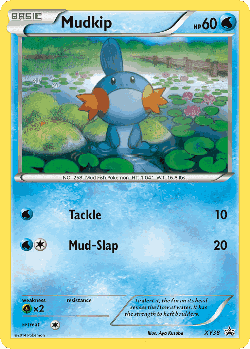 Mudkip 38, XY Black Star Promos