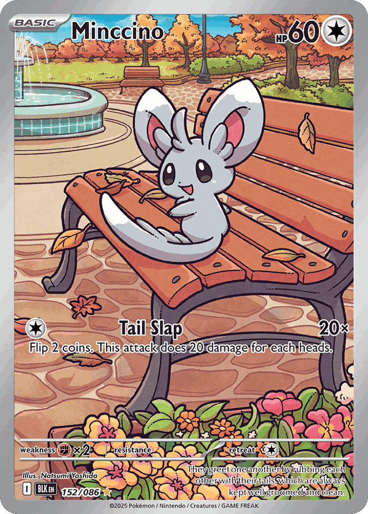 Minccino #152 from Black Bolt - Illustration Rare - Illustrated by Natsumi Yoshida