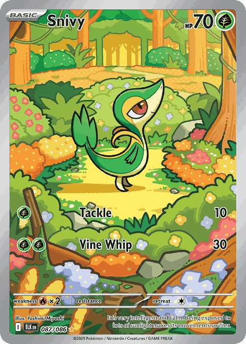 Snivy 87, Black Bolt